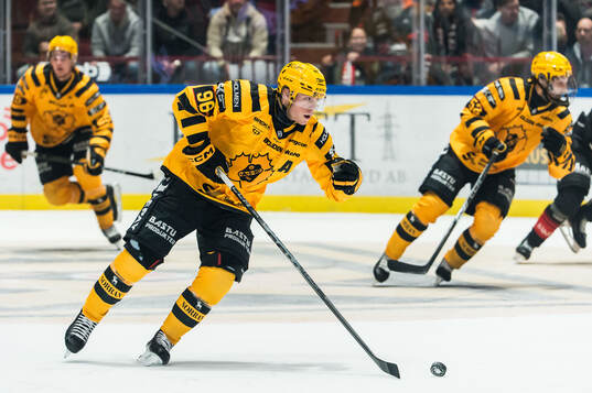 Skellefteås Rickard Hugg