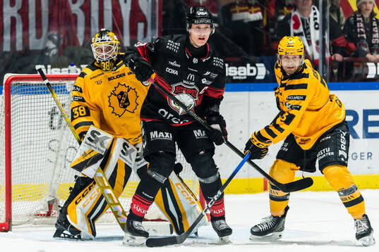 Malmö Redhawks Fredrik Händemark och Skellefteås
