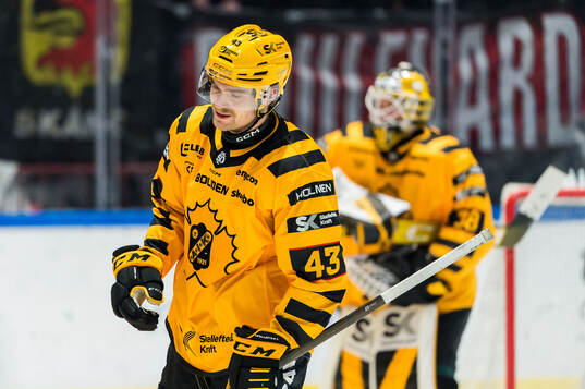 Skellefteås Max Krogdahl deppar