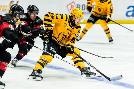 Skellefteås Valter Lindberg och Malmö Redhawks Janne