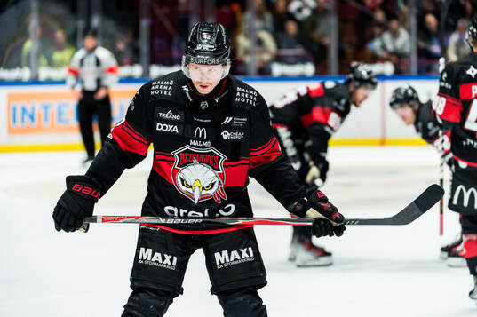 Malmö Redhawks Robin Salo deppar