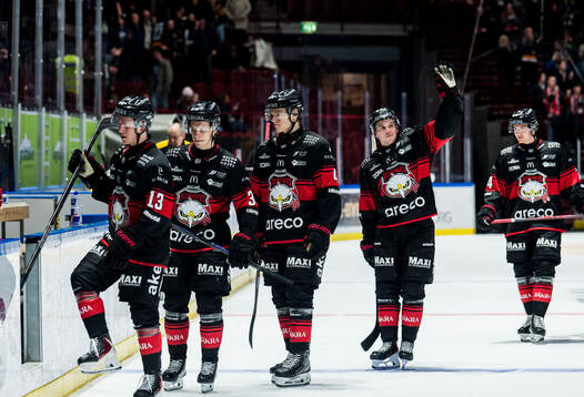 Malmö Redhawks spelare deppar