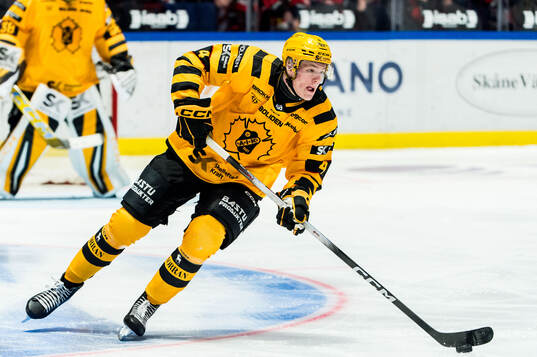 Skellefteås Rasmus Bergqvist