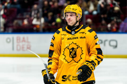 Skellefteås Oliver Okuliar deppar