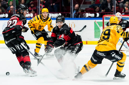 Malmö Redhawks Martin Schreiber och Skellefteås Mikkel