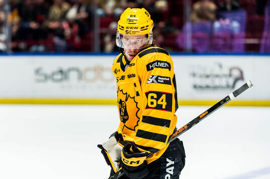 Skellefteås Jonathan Pudas deppar