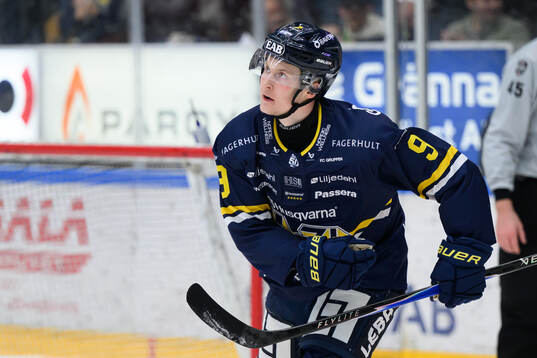 HV71s Hugo Pettersson jublar