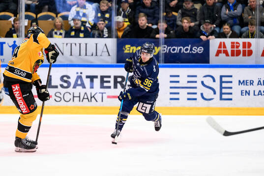 HV71s Nikola Pasic
