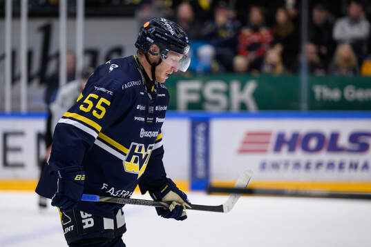 HV71s Andreas Borgman deppar