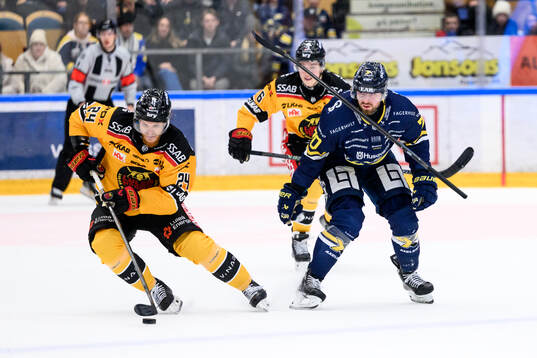 Luleås Brendan Shinnimin och HV71s Lukas Rousek