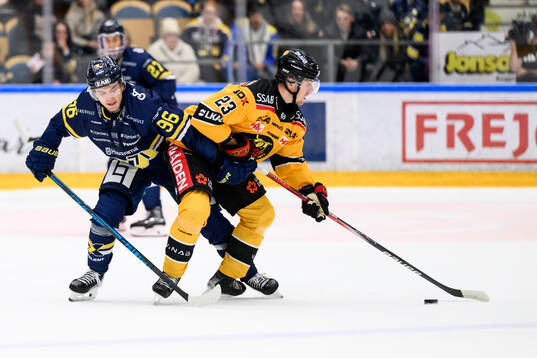 HV71s Nikola Pasic och Luleås Jesper Sellgren