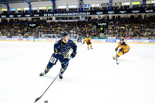HV71s Hugo Pettersson