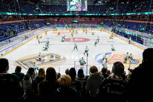 Färjestads och Djurgårdens spelare