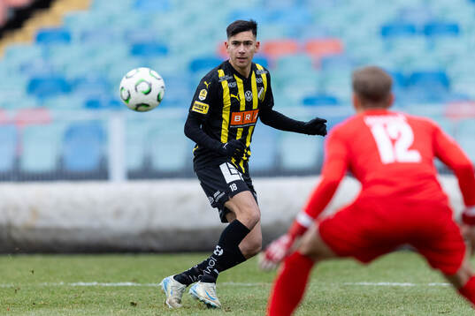 Häckens Danilo Al-Saed