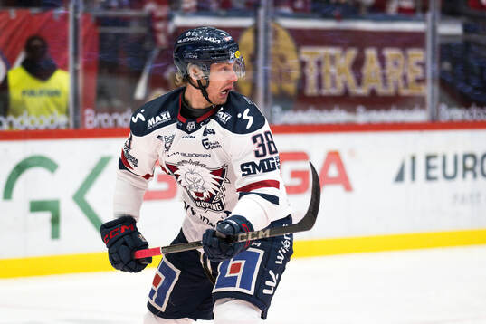 Linköpings Johan Södergran