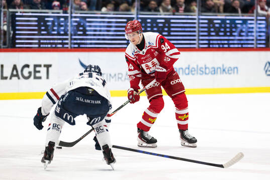 Timrås Sebastian Hartmann