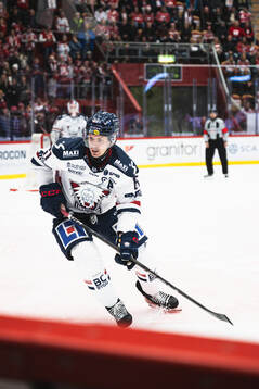 Linköpings Markus Ljungh