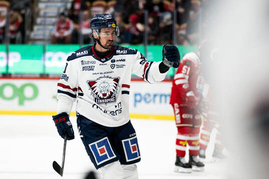 Linköpings David Bernhardt jublar