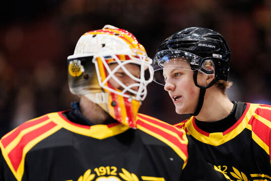 Brynäs Victor Raftheim Hedin