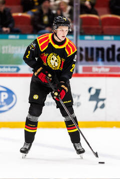 Brynäs Victor Raftheim Hedin