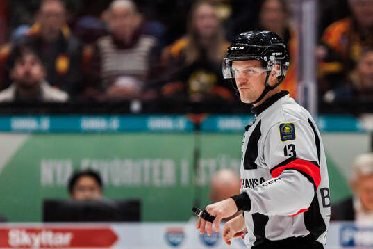 Domare Stefan Leijonklo