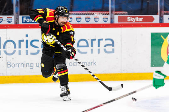 Brynäs Anton Rödin