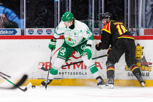 Rögles Gregor Biber och Brynäs Anton Rödin