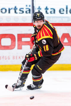 Brynäs Anton Rödin