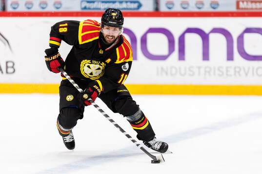 Brynäs Anton Rödin