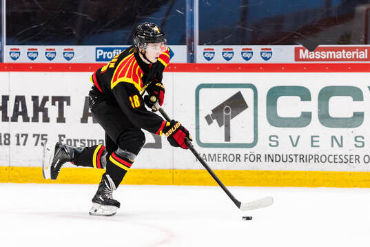 Brynäs Gustav Hillström