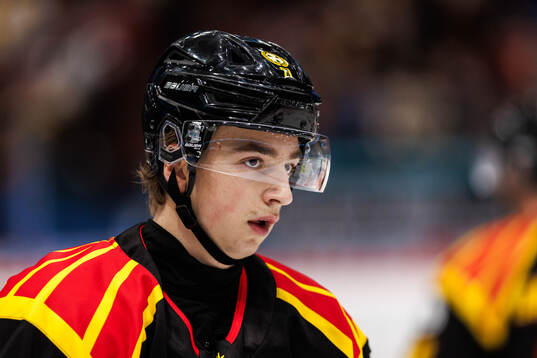 Brynäs Gustav Hillström