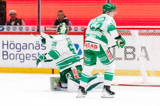 Rögles målvakt Christoffer Rifalk vid Brynäs Anton