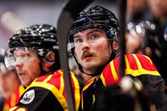 Brynäs Kieffer Bellows