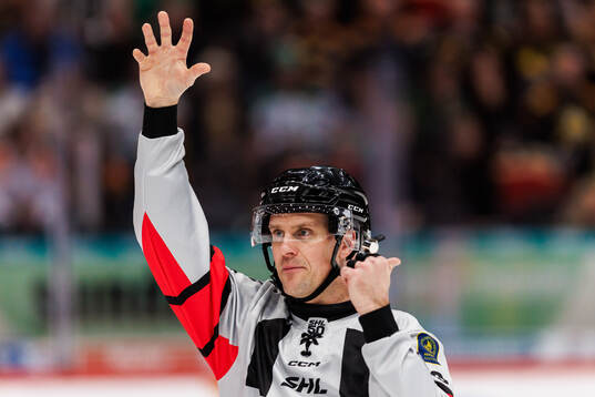 Domare Stefan Leijonklo