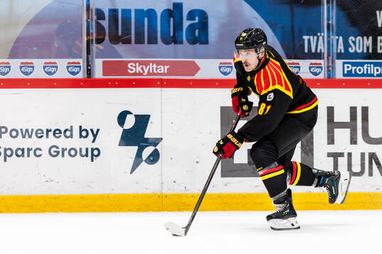 Brynäs Kieffer Bellows