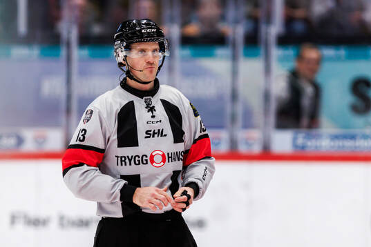 Domare Stefan Leijonklo
