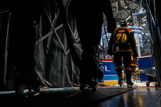 Brynäs Tyler Vesel