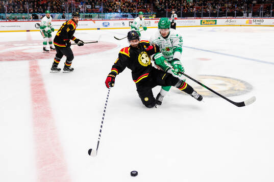 Brynäs Anton Rödin och Rögles Albin Sundsvik