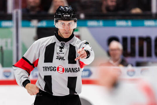Domare Linus Öhlund