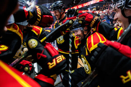Brynäs Anton Rödin jublar