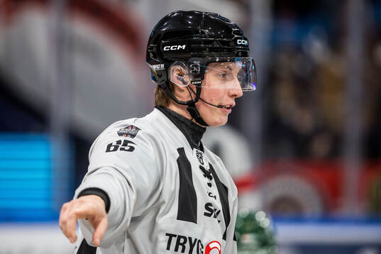 Linjedomare Rasmus Strömberg