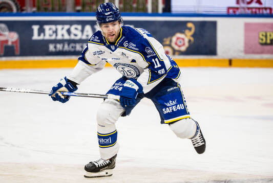 Leksands Wiktor Nilsson