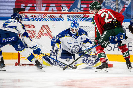 Leksands målvakt Jakob Hellsten
