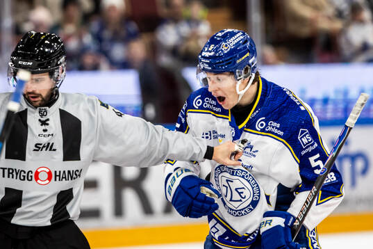 Leksands Andro Kaderli