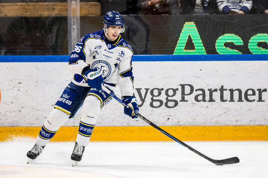 Leksands Stefan Milosevic
