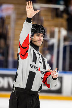 Domare Richard Magnusson
