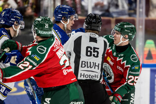 Leksands Anton Johansson och Frölundas Arttu Ruotsalainen