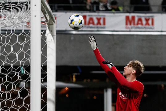 Hammarby TFFs målvakt Amar Dzevlan