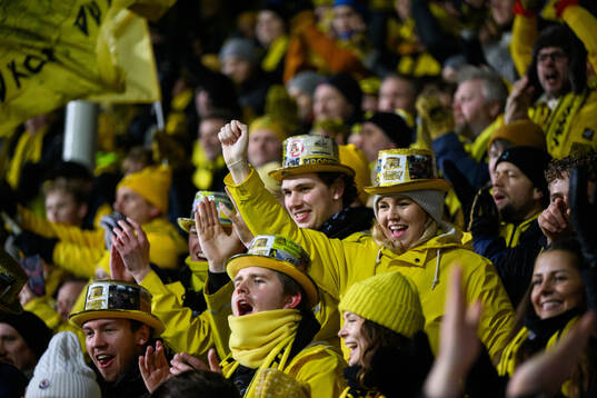 Supporters of of Bodø/Glimt