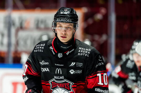 Malmö Redhawks William Von Barnekow